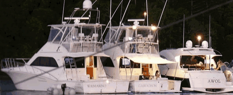 Abel Point Marina - Holiday Byron Bay 3