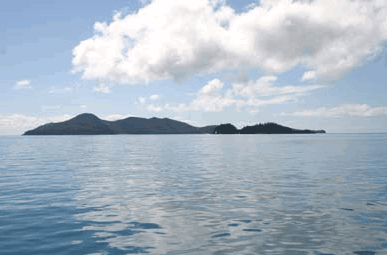 Whitehaven Xpress Whitehaven Beach Tours - Holiday Byron Bay 2