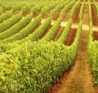 Wignalls Winery