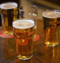 Avenues Tavern - Holiday Byron Bay 3