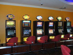 Wee Willie's Tavern - Holiday Byron Bay 3