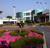 Mounties - Holiday Byron Bay