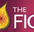 Pickled Fig - Holiday Byron Bay