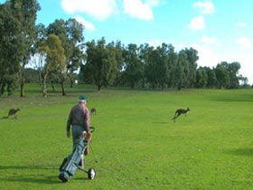 Lincoln National Park SA Holiday Byron Bay