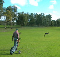 Coffin Bay Golf Club - Holiday Byron Bay