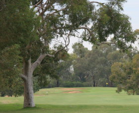 Tocumwal Golf Club - Holiday Byron Bay 2
