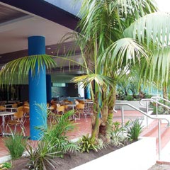 Forster NSW Holiday Byron Bay