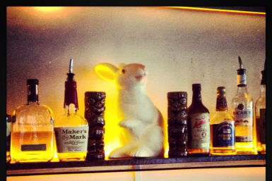 Hairy Canary - Holiday Byron Bay 0