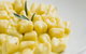 Machiavelli Ristorante Italiano - thumb 2