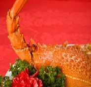 Marigold - Holiday Byron Bay