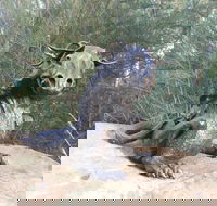 Bathurst Arts Trail - Holiday Byron Bay