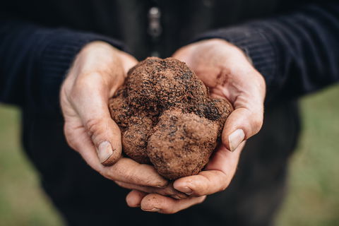 Feast And Forage - Craig's Royal Hotel - Holiday Byron Bay 0