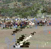 Gresford Agricultural Show - Holiday Byron Bay