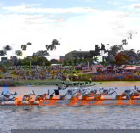 Jacaranda Dragon Boat Races - Holiday Byron Bay