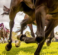 Night Markets and Race Day - Holiday Byron Bay