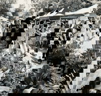 Yamba Farmers and Producers Market - Holiday Byron Bay