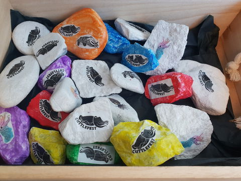 Cuttle-Rock Challenge - CUTTLEFEST 2020 - Whyalla - Holiday Byron Bay 0