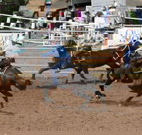 Dalgety Team Penning - Holiday Byron Bay