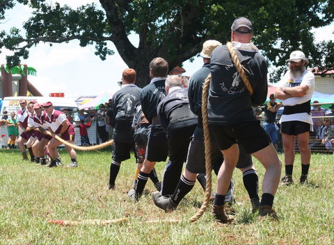 Dorrigo Agricultural Show - Holiday Byron Bay 1