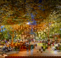 Fusion Wagga Wagga - Holiday Byron Bay