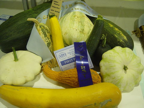 Goulburn Show - Holiday Byron Bay 0