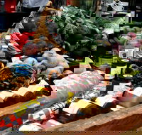 Manjimup Farmers Market - Holiday Byron Bay
