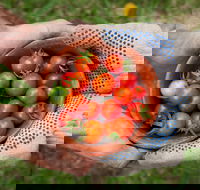 Riverina Producers Market - Holiday Byron Bay