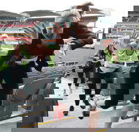 Stadium Stomp Adelaide Oval - Postponed - Holiday Byron Bay