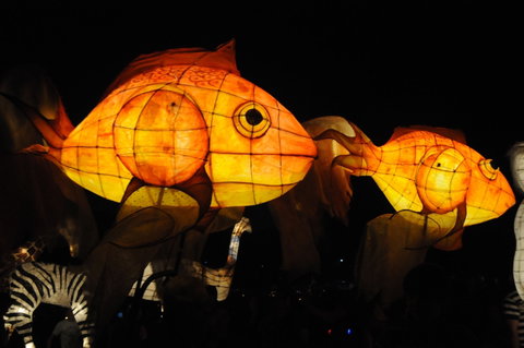 DREAM Festival: Music And Markets Event - Holiday Byron Bay 2