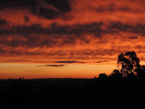 Father's Day At Cottontail Wines - Holiday Byron Bay 0