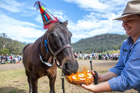 Horses Birthday Festival - Holiday Byron Bay 0