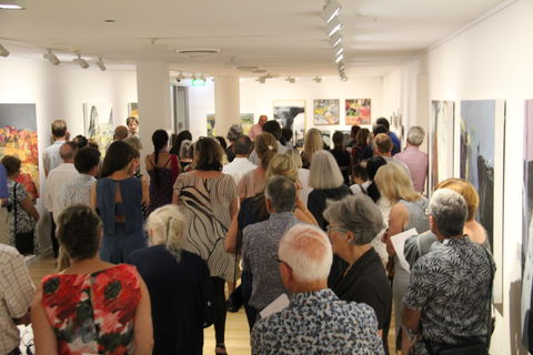 'Redland Art Awards 2020' Exhibition Opening - Holiday Byron Bay 0