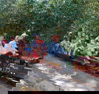 Twilight Run   Willans Hill Miniature Railway - Holiday Byron Bay