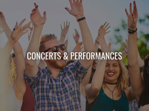 Van The Man - Holiday Byron Bay 0