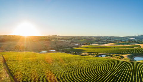 Wine And Food At Altitude - Holiday Byron Bay 0