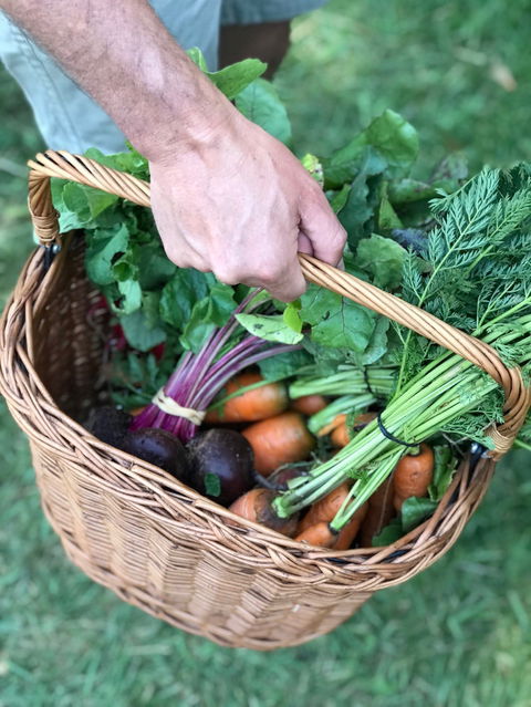 Orange Farmers Market - Holiday Byron Bay 0