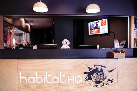 Habitat HQ - Hostel - Holiday Byron Bay 3