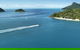Qualia - thumb 0