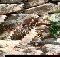 Jenolan Caves House