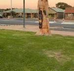 Lake Albert Motel