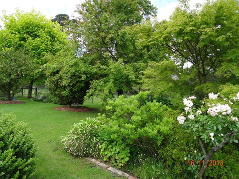 The Little House On The Hill - Holiday Byron Bay 1