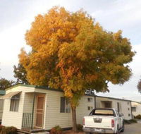 Wodonga Caravan  Cabin Park - Holiday Byron Bay