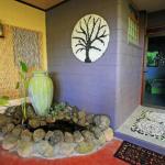 Millaa Millaa QLD Holiday Byron Bay