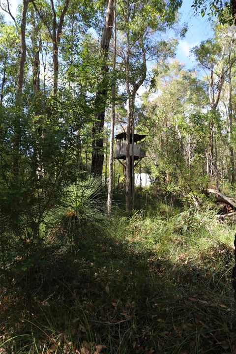 Nannup Bush Retreat - Holiday Byron Bay 2