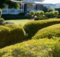 Whiskey Gully Wines - Holiday Byron Bay