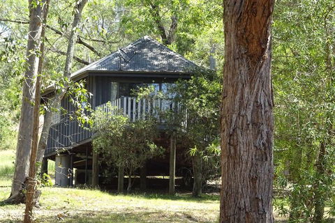 Barrington Tops Nest - Holiday Byron Bay 2