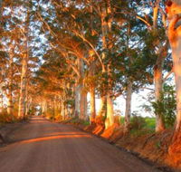 Innisfree Mountain Retreat - Holiday Byron Bay