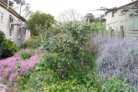 Alvie Cottage - Holiday Byron Bay 1