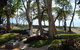 BeachView Apartments At Villa Paradiso - thumb 4
