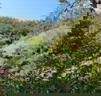 Copeland Manse - Holiday Byron Bay
